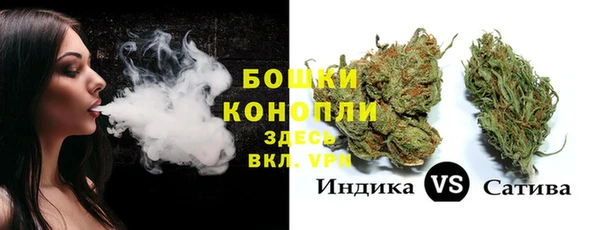 гидра Армянск